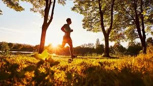 Stresle Başa Çıkma: Daha Fazla Huzur İçin 5 Basit Teknik